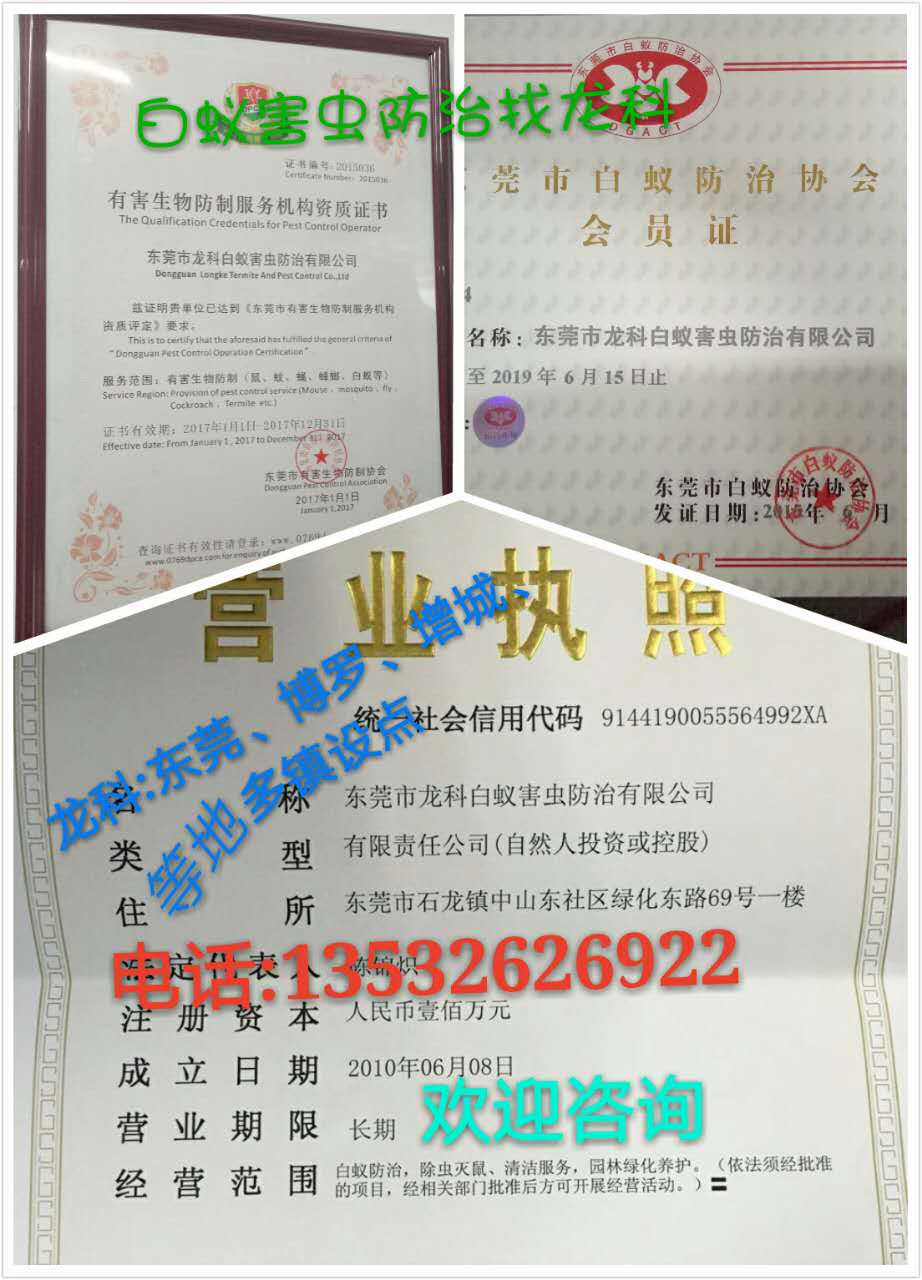 东莞白蚁防治该如何防...