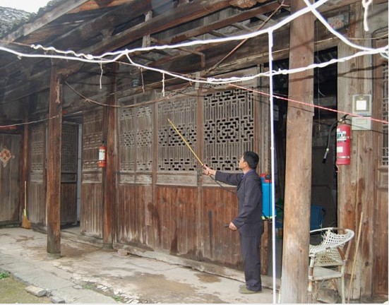 东莞白蚁防治、堤坝白...