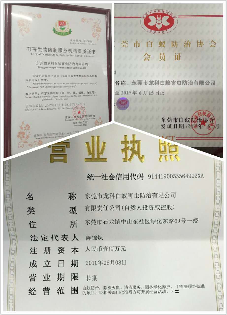 东莞白蚁防治，博罗白...