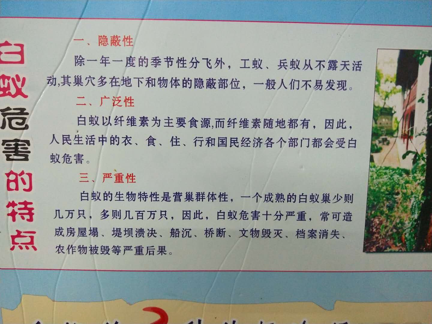 东莞石排防治白蚁、园...