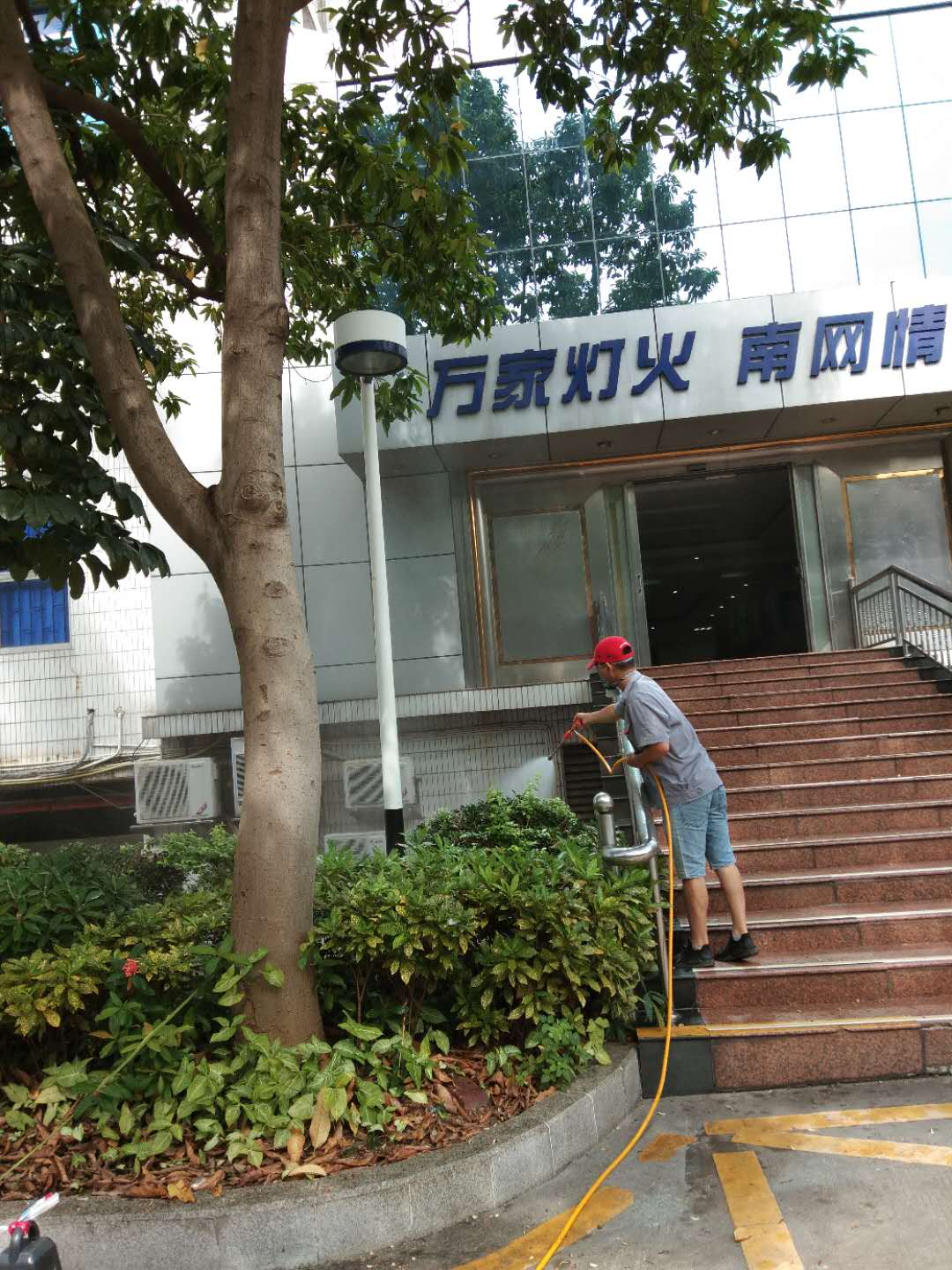 龙科白蚁防治根据白蚁...