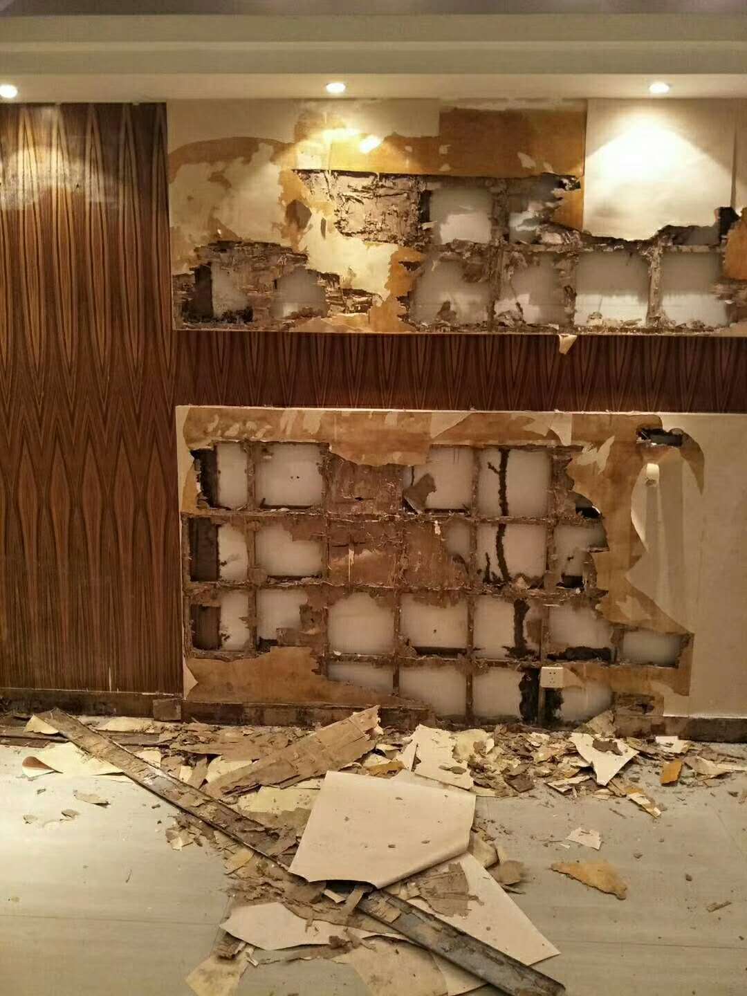 被臭虫困扰、市民应该...