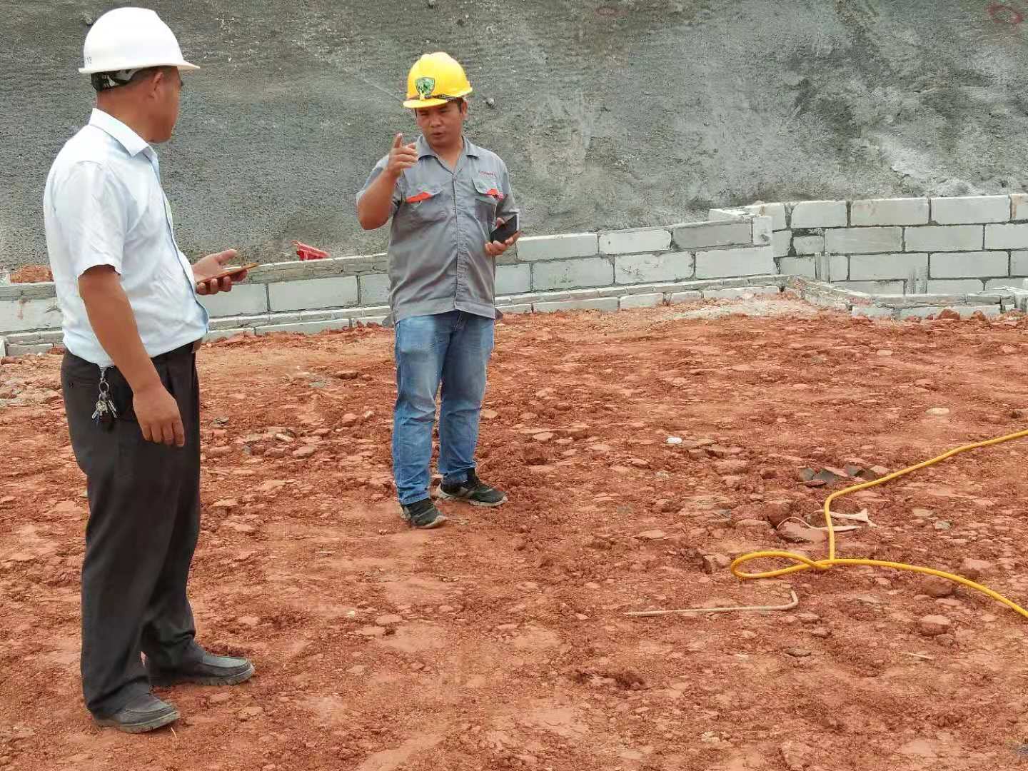东莞白蚁防治、土建白...