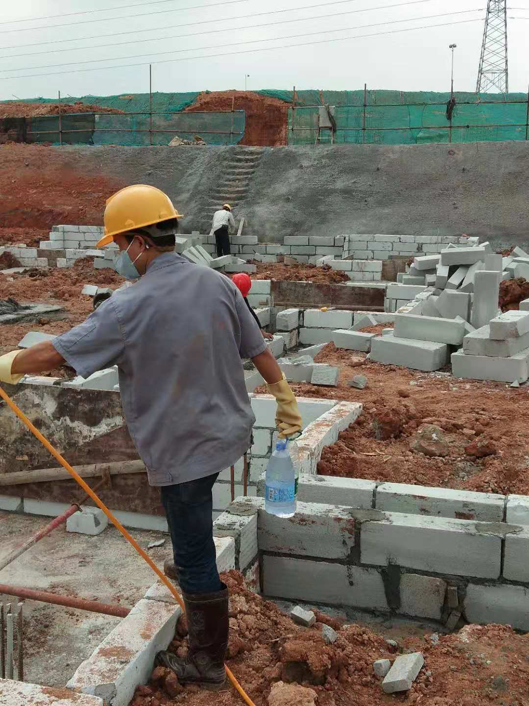 日常白蚁的一些灭治方...