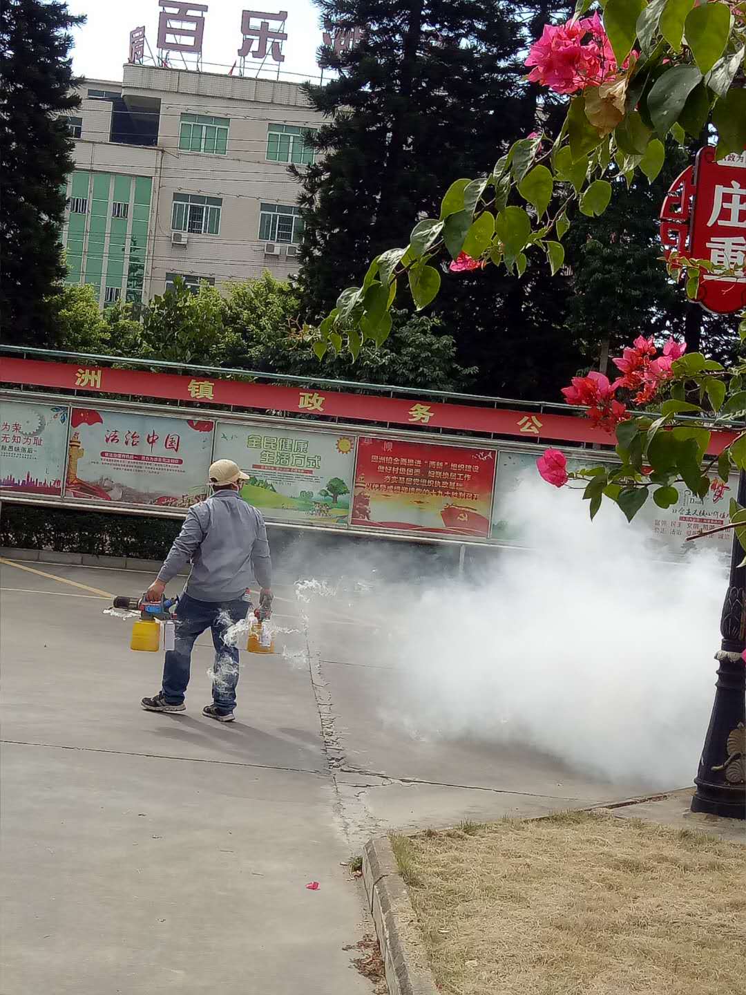 灭蟑就要连同蟑螂卵一...