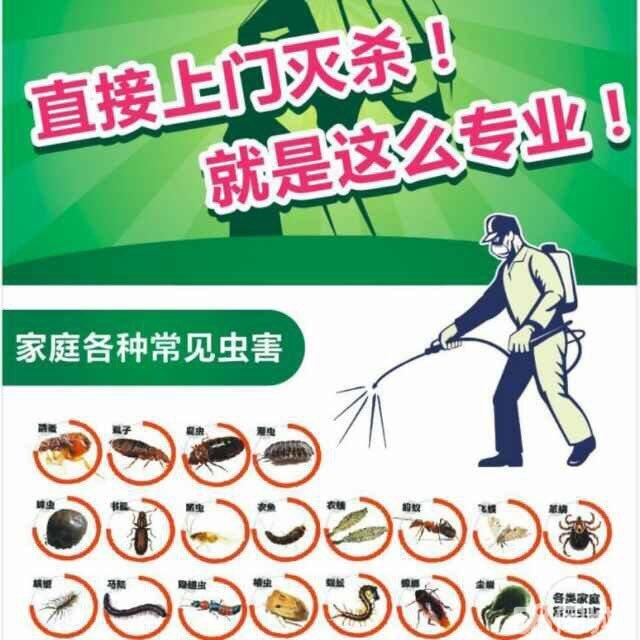 东莞杀虫公司教大家如...