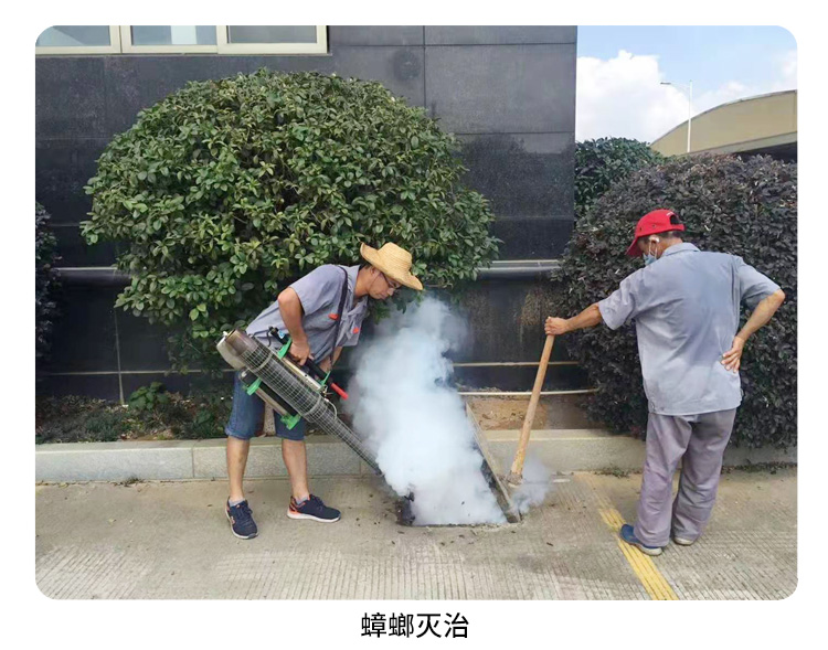 蟑螂防治、东莞杀虫公...