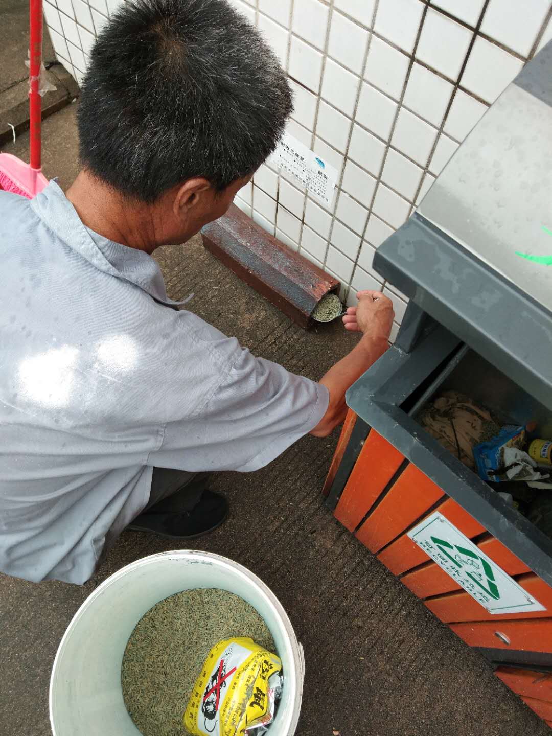 灭鼠药物防治措施与正...