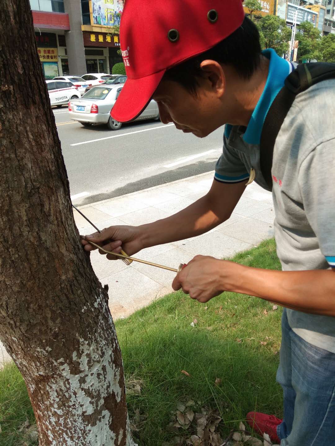 土建预防白蚁 装修预...