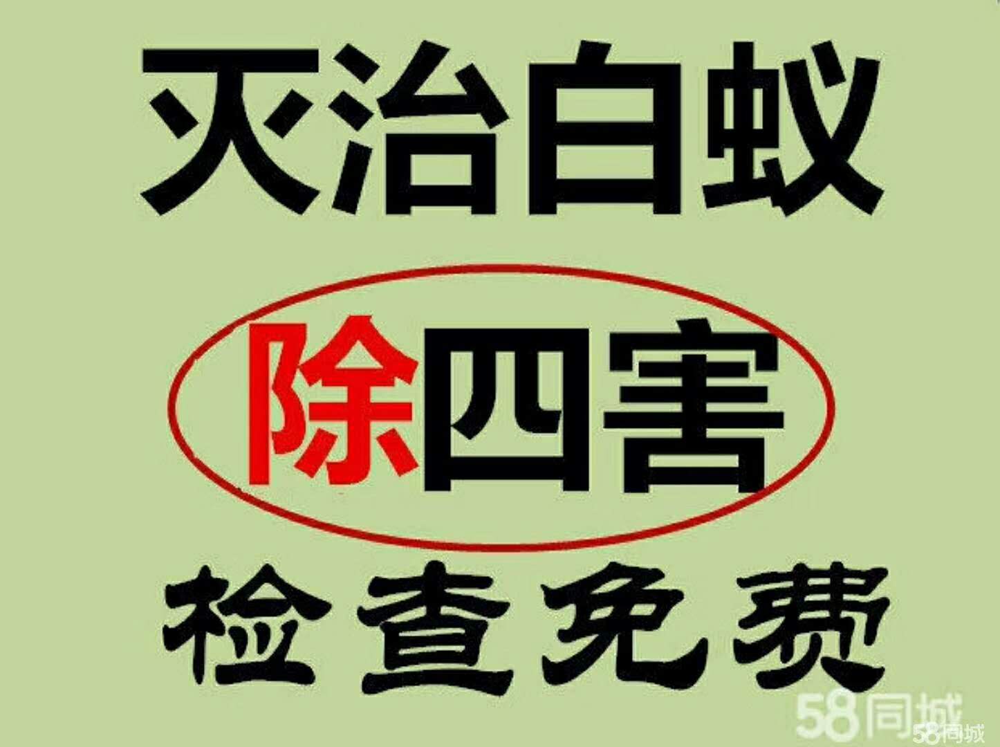 校园灭鼠的专业方法 ...