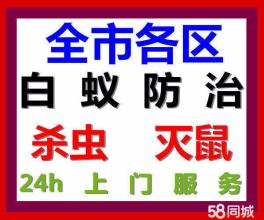 鼠类防治方法 东莞灭...