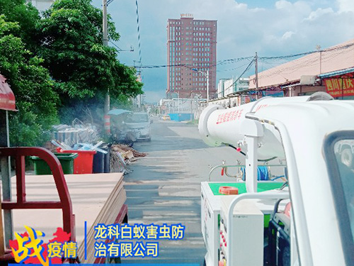 街道消杀，杀虫灭鼠、...