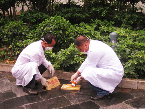老鼠预防方案