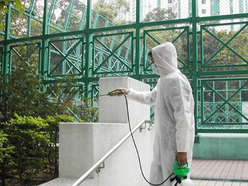 臭虫灭治方案