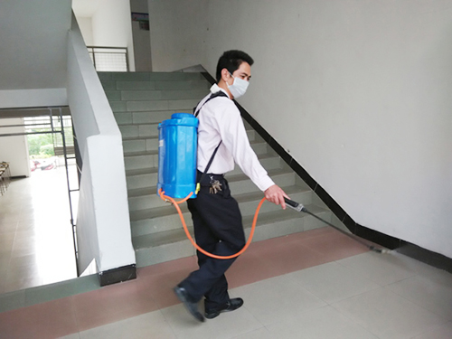 害虫灭除方案