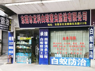 公司实景