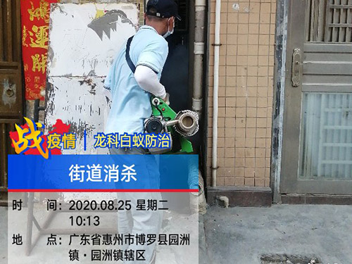街道四害消杀