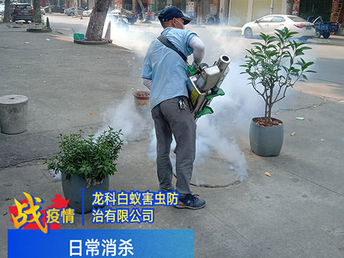 杀虫灭鼠处理方案