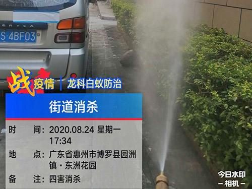 杀虫灭鼠处理