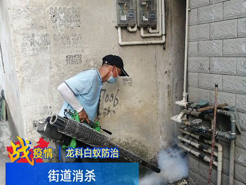 杀虫处理