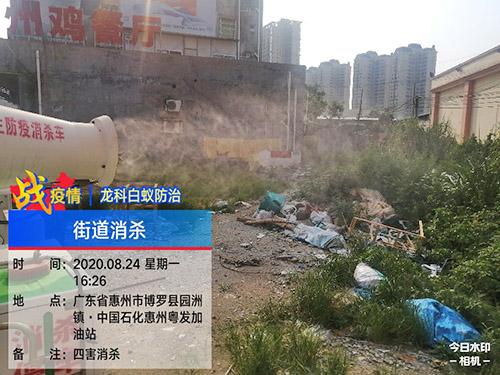 四害街道消杀