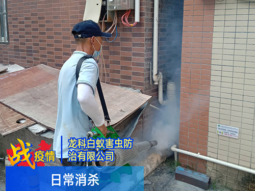 中心街道消杀