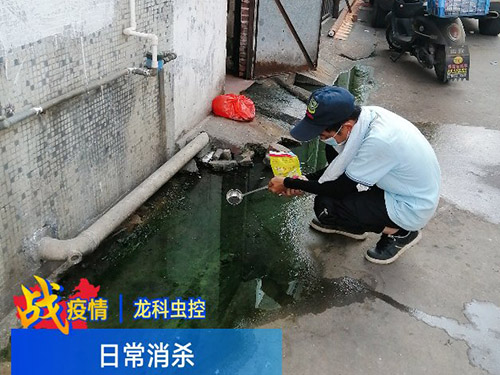 东莞四害消杀
