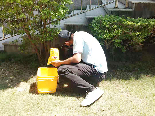 预防灭老鼠