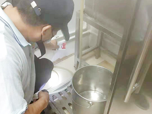 白蚁预防灭治