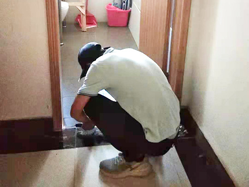 灭白蚁