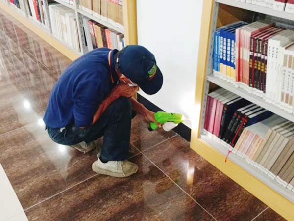 白蚁预防灭治