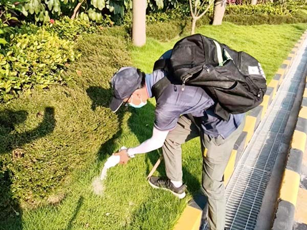 预防灭治红火蚁