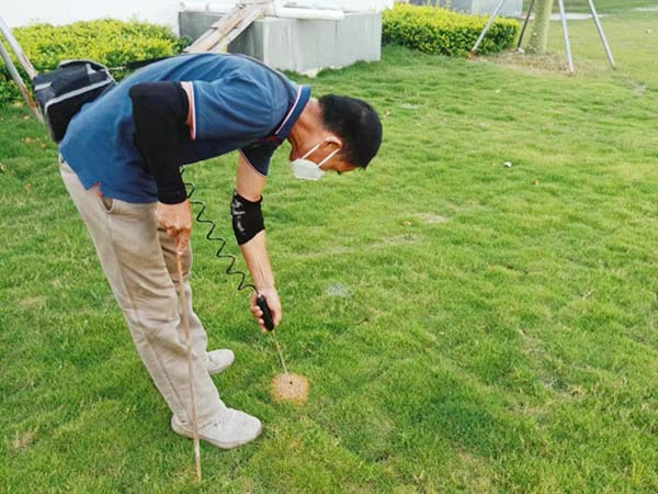 预防灭治红火蚁