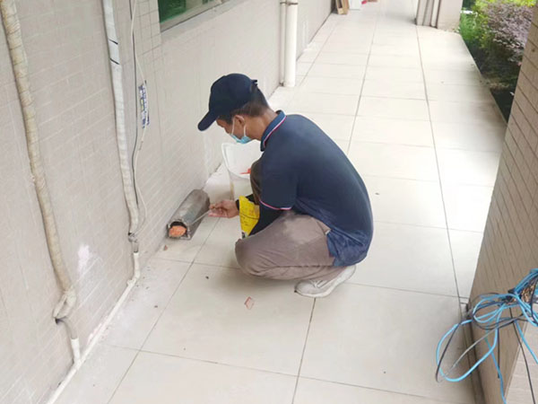灭鼠