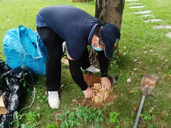 灭治白蚁
