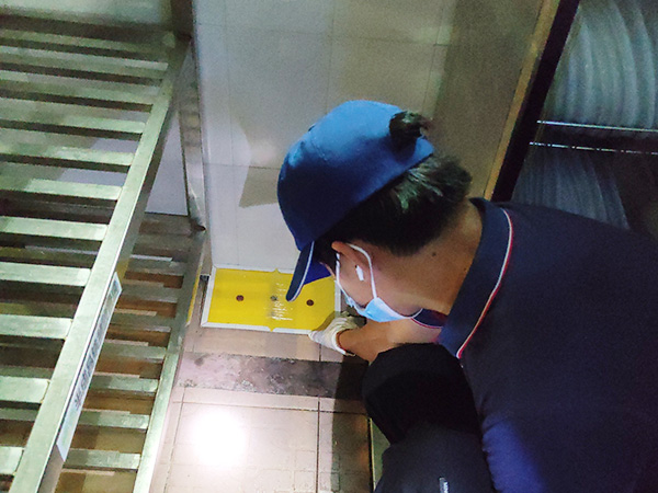 学校饭堂四害消杀