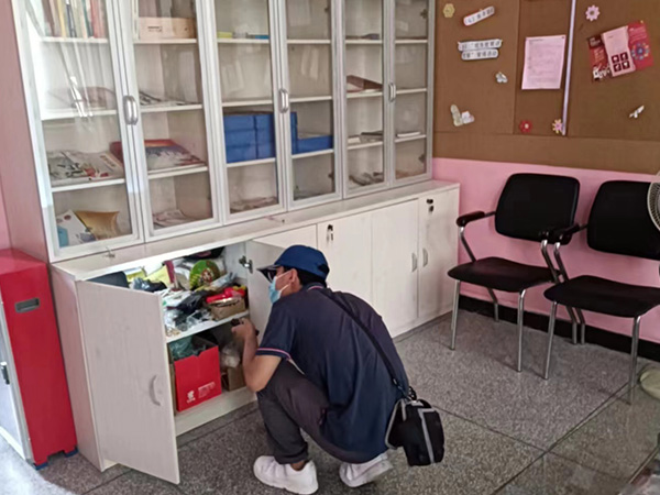 防治白蚁老鼠服务