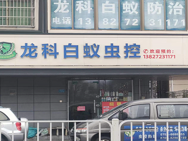 公司实力
